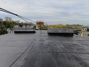 � ����������� ���� ������������ ����������� ������ ����