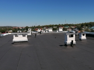 ��� ���� � ���������� �������� ���� ����� ����� �������� ��������