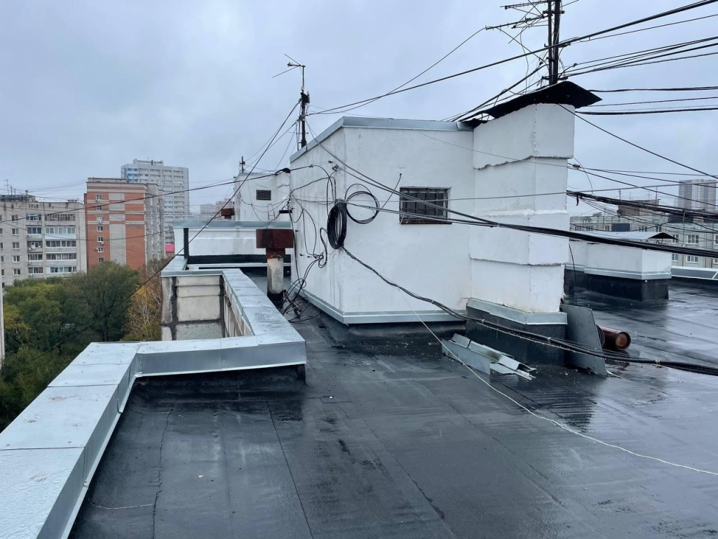 photo1665484193 (8).jpeg