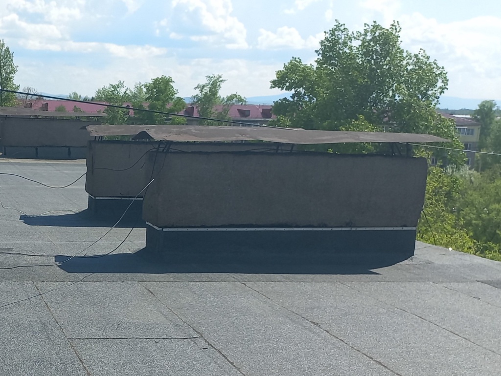 20250526_152612.jpg